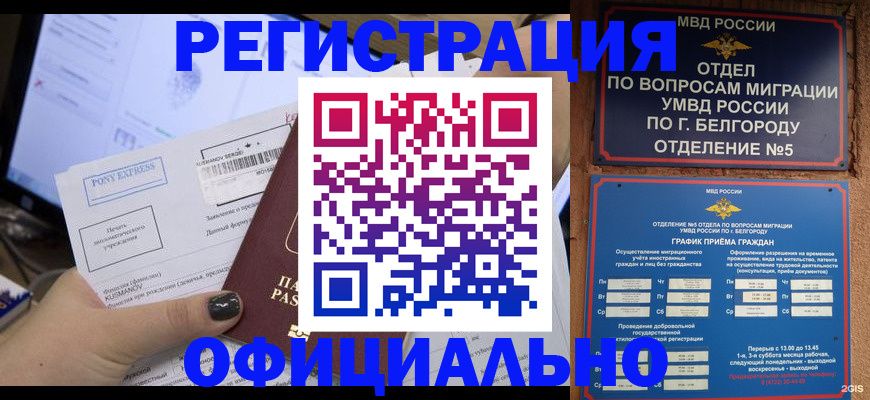 прописка для кредита в Мытищах